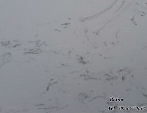 Aglomarmur / Konglomerat marmurowy Brina / Merkam