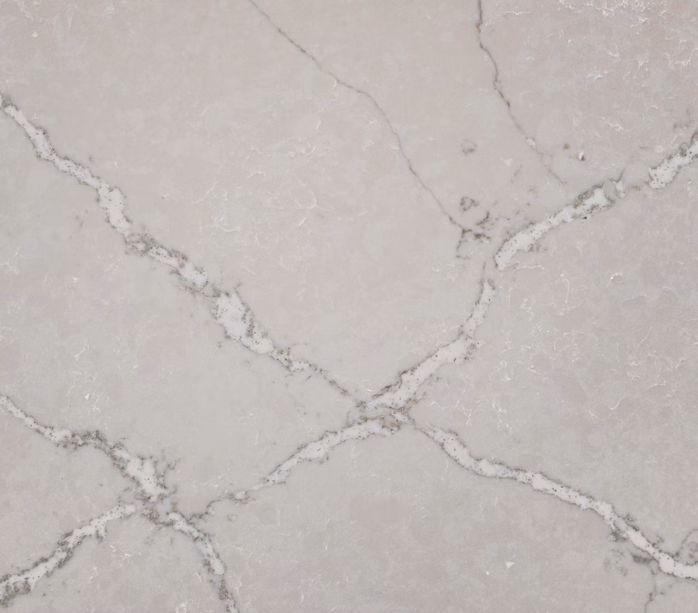 wzór-kolor-konglomerat-kwarcowy-Victorian Silver- silestone