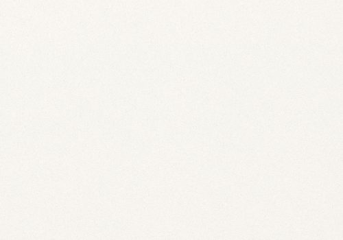 kolor-konglomeratu-Crystal Polar White technistone